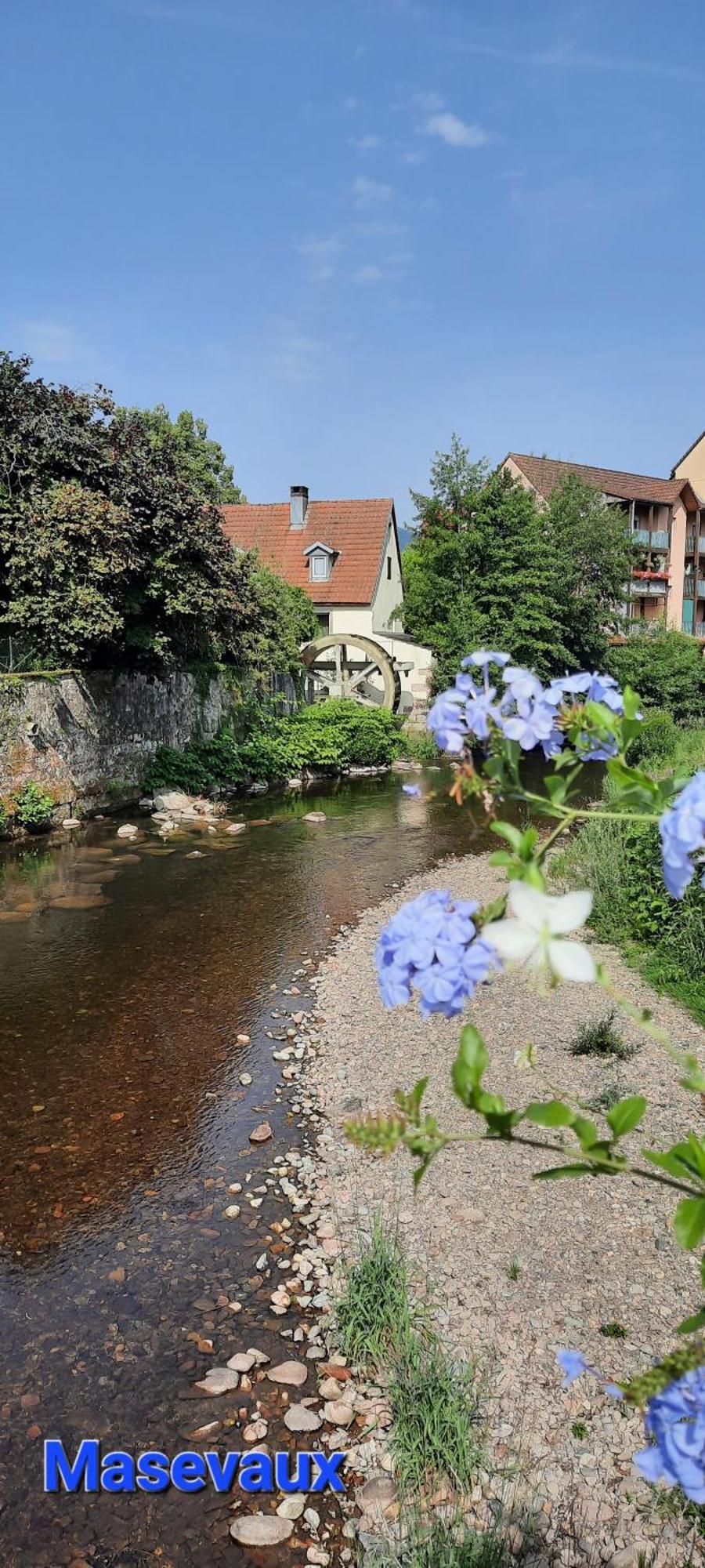 Gite Au Petit Verger Masevaux-Niederbruck Cameră foto